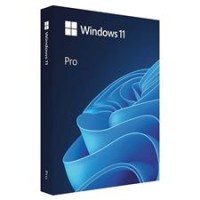 Microsoft Windows 11 Pro